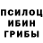 Галлюциногенные грибы GOLDEN TEACHER tomas alvi