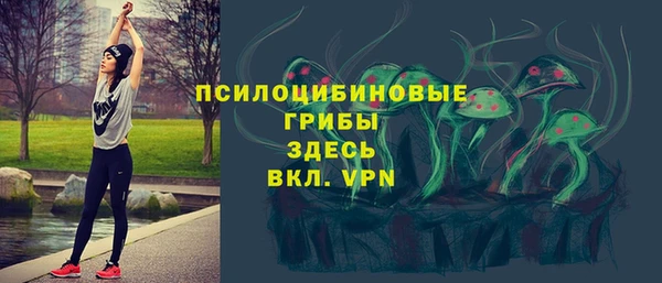 гашик Белоозёрский