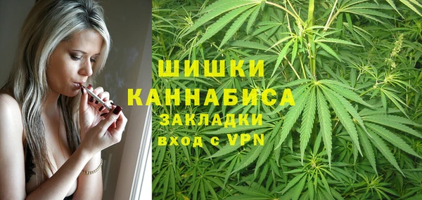 гашик Белоозёрский