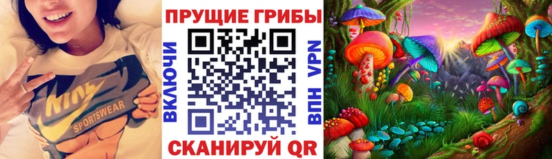 наркота  Маркс  Галлюциногенные грибы Psilocybine cubensis 